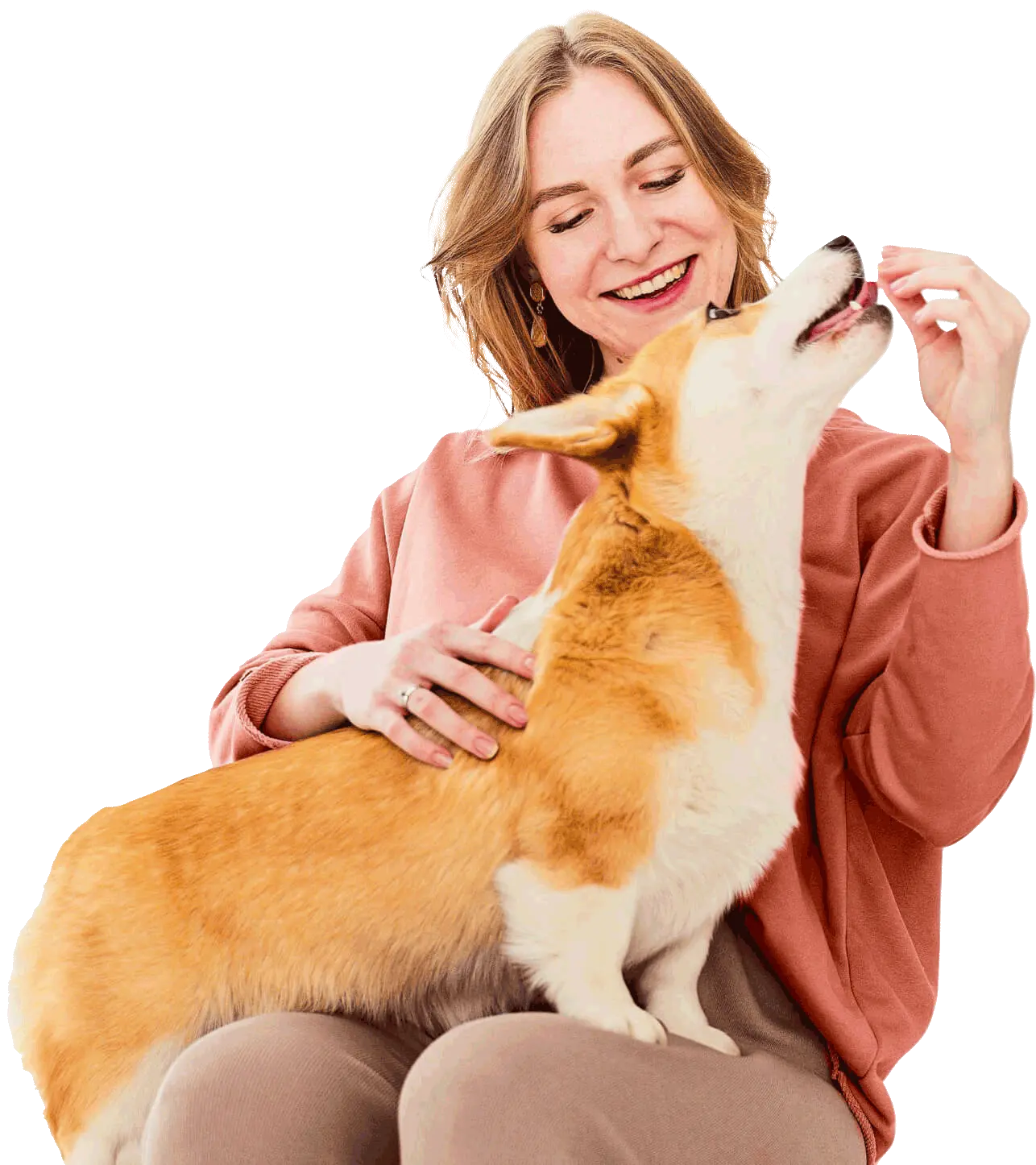 Maple Vet - Clínica Veterinária